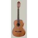 HM 65-Z Meistergitarre