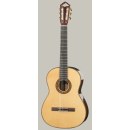 HM 88 Meistergitarre