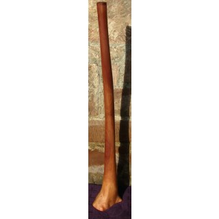 Didgeridoo Tam Tam Eukalyptus Konzertklasse Ton Dis, TDK-05