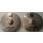 Stagg DH-HR14B Hi-Hat Brilliant Rock 14"