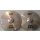 Meinl MCS 14" HiHats MCS14MH-B-Store