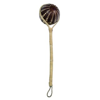 Shakerballstick