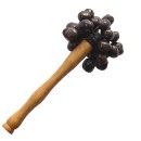 Stabrassel Kemiri = Pala-seed