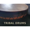 Tribal Drum Spirit Sound Art TD-50